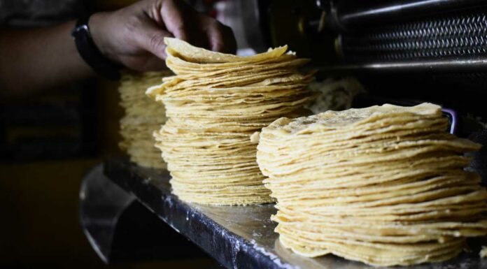 ¡Aguas! Tortilleros bajan calidad para vender barato Tortilla