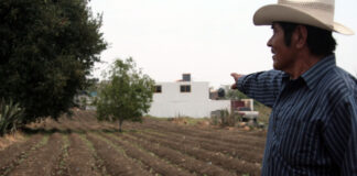 Indemnizarán a 300 campesinos por nevada y granizada en Puebla El gobierno inició la recopilación de documentos para indemnizar a más de 300 campesinos de Tlachichuca y Acatzingo. Foto: Es Imagen / Ilustrativa