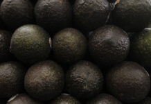 México enviará 140 mil toneladas de aguacate para Super Bowl LVI México es uno de los principales exportadores de aguacate, ya que se vende a 34 países. Estados Unidos es el principal destino. Foto: Es Imagen