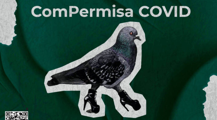 IMSS lanza ComPermisa COVID y rompe internet