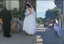 Papá lleva a novia a su boda en bici (Video) Novia