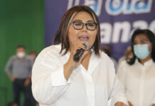 PRI perdería alianza con PAN si apoyan Reforma Eléctrica: Genoveva Señaló que “Va por México” - conformada por PRI y PRD- debe ir más allá de ganar cargos públicos .
