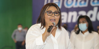 PRI perdería alianza con PAN si apoyan Reforma Eléctrica: Genoveva Señaló que “Va por México” - conformada por PRI y PRD- debe ir más allá de ganar cargos públicos .