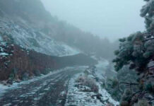 Prevén caída de agua nieve en centro y norte de México frente frío