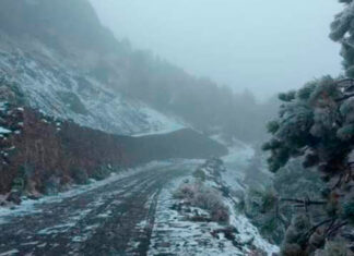 Prevén caída de agua nieve en centro y norte de México frente frío