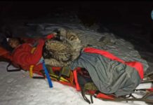 Perrito salva montañista de hipotermia en Croacia perrito