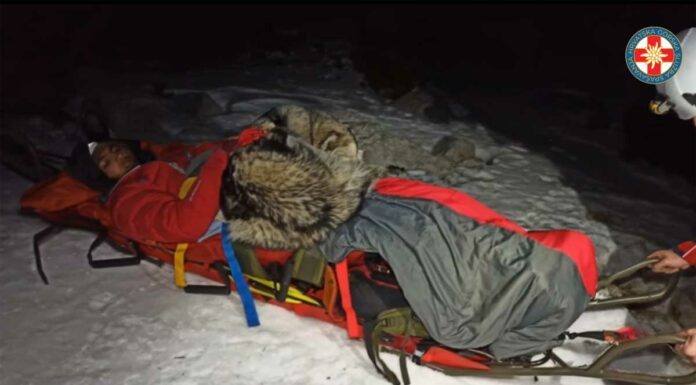 Perrito salva montañista de hipotermia en Croacia perrito