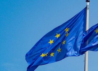 Unión Europea condena el asesinato de Cecilia Monzón Unión Europea