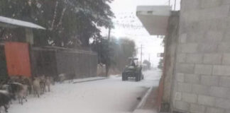 ¡Sorprendente! Cae nevada en San Miguel Zoapan La nieve rebasó los 14 centímetros, tapizando las calles del municipio y regalándonos más de una imagen sorprendente.
