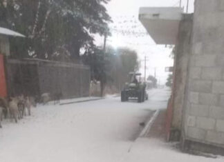 ¡Sorprendente! Cae nevada en San Miguel Zoapan La nieve rebasó los 14 centímetros, tapizando las calles del municipio y regalándonos más de una imagen sorprendente.