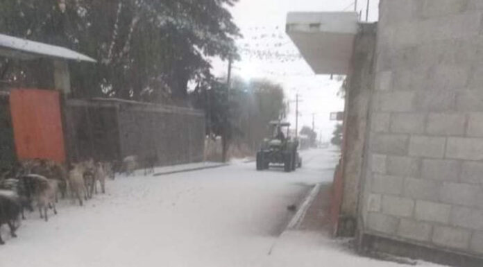 ¡Sorprendente! Cae nevada en San Miguel Zoapan La nieve rebasó los 14 centímetros, tapizando las calles del municipio y regalándonos más de una imagen sorprendente.