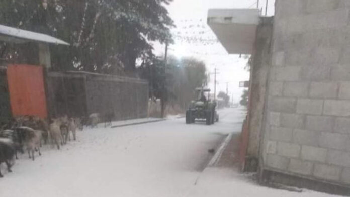 La nieve rebasó los 14 centímetros, tapizando las calles del municipio y regalándonos más de una imagen sorprendente.