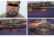 Detienen a hombres armados y con un halcón sin vida en San Miguel Canoa