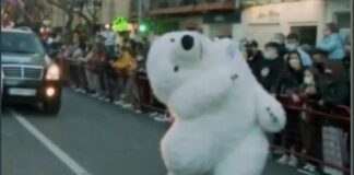 Botarga de oso polar se rompe el cuello y se vuelve viral