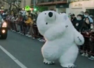 Botarga de oso polar se rompe el cuello y se vuelve viral