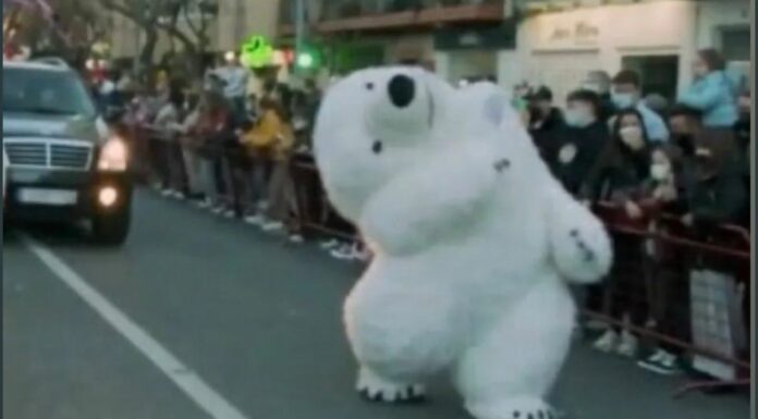 Botarga de oso polar se rompe el cuello y se vuelve viral