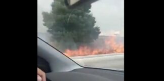 Se registra fuerte incendio en camellón de Periférico Ecológico