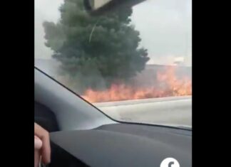 Se registra fuerte incendio en camellón de Periférico Ecológico