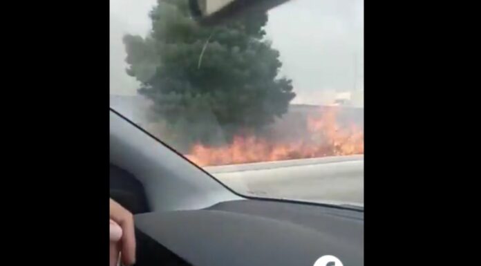 Se registra fuerte incendio en camellón de Periférico Ecológico