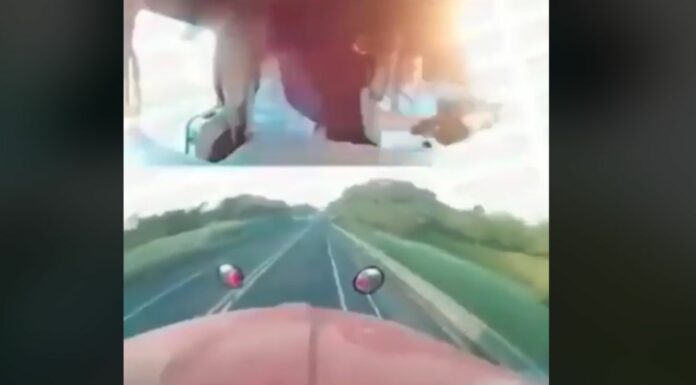 Captan el momento exacto del accidente en la México-Tuxpan