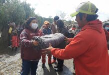 SEDIF entrega apoyos a familias afectadas por contingencia en Tlachichuca y Acatzingo