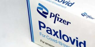 Cofepris aprueba el uso de Paxlovid contra COVID