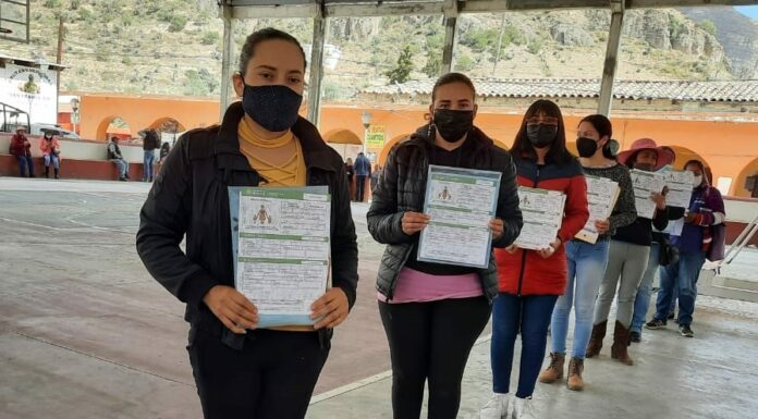 Madres trabajadoras de 58 municipios reciben apoyo Bienestar
