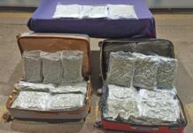Detienen a hombre con 23 kilogramos de marihuana