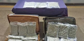 Detienen a hombre con 23 kilogramos de marihuana