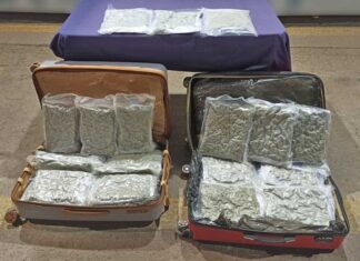 Detienen a hombre con 23 kilogramos de marihuana