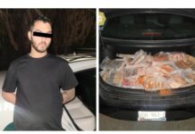Detienen a canadiense con más de 60 kilos de cocaína en CDMX