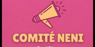 Fundan “Comité Neni Puebla” ante arrestos injustificados