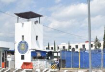 Sin indicios de que bebé hallado en San Miguel fuera robado en CDMX bebé