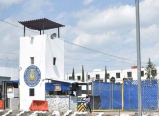 Investigan hallazgo de bebé muerto en San Miguel bebé