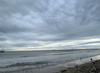 Erupción en Tonga afecta costas de Norteamérica costas