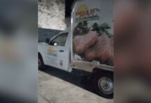 Roban camioneta con apoyos alimenticios en Tlalancaleca camioneta