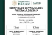 Venden certificados falsos de vacunación en CDMX ¿Qué necesitan los delincuentes para hacer certificados falsos de vacunación?