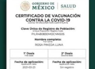 Venden certificados falsos de vacunación en CDMX ¿Qué necesitan los delincuentes para hacer certificados falsos de vacunación?