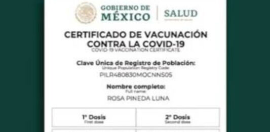 ¿Qué necesitan los delincuentes para hacer certificados falsos de vacunación?