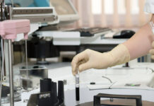 Muerte celular puede frenarse, señalan científicos científicos