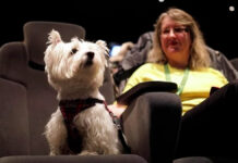 Abren cine para perritos en el Reino Unido cine perritos