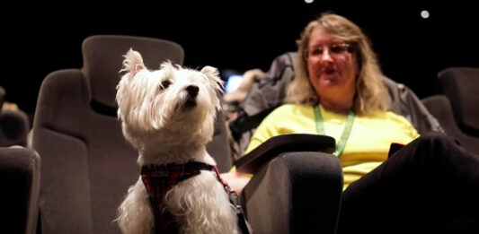 cine perritos
