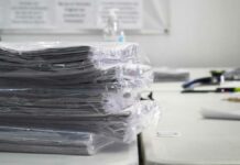 Reunimos 500 mil firmas para revocación, afirma Belmont firmas