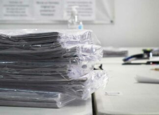 Reunimos 500 mil firmas para revocación, afirma Belmont firmas