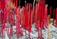 “Aldea del incienso” se viste de rosa ante el Año Nuevo lunar