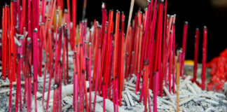 “Aldea del incienso” se viste de rosa ante el Año Nuevo lunar