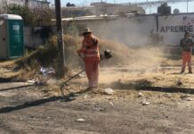 Realizan brigada de limpieza y mantenimiento en Loma Bella limpieza
