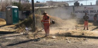 Realizan brigada de limpieza y mantenimiento en Loma Bella limpieza