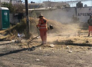 Realizan brigada de limpieza y mantenimiento en Loma Bella limpieza