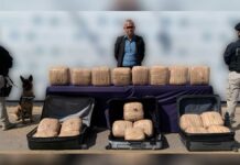 Arrestan a hombre con 40 kilos de marihuana en la CAPU marihuana